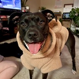 Entry image for Kora