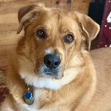 Entry image for Sunny