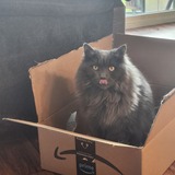 Entry image for Waffles Ziemniak 