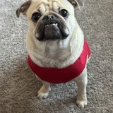 Entry image for Comet 