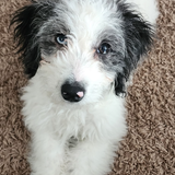 Entry image for Azure