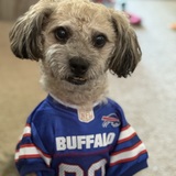 Entry image for Denali