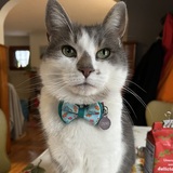 Entry image for Murphy