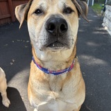 Entry image for Arnie Enos