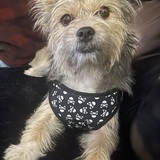 Entry image for Mabel 