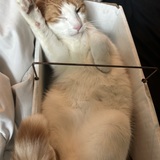 Entry image for Fritz