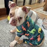 Entry image for Franklin