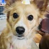 Entry image for Max Bell