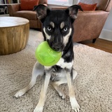 Entry image for Blue