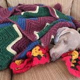 Entry image for Philly