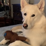 Entry image for Mila