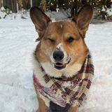 Entry image for Toast 