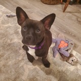 Entry image for Abner Dean 