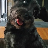 Entry image for Jeter