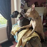 Entry image for Lexi Espenmiller 