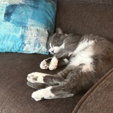 Entry image for Kenny