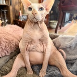 Entry image for Loki