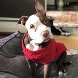 Entry image for Maybelline