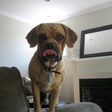 Entry image for BRUZER ❤️