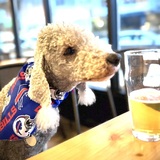 Entry image for Diamonds