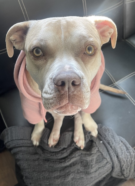 Entry image for Shinka. Clicking this image will show a larger photo