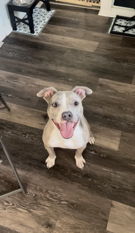 Entry image for Ditto. Clicking this image will show a larger photo