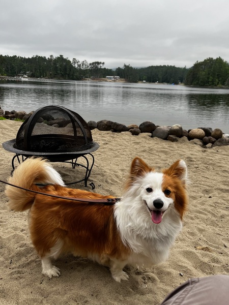 Entry image for Navi. Clicking this image will show a larger photo