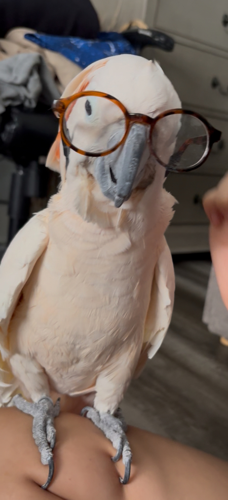 Entry image for Baby. Clicking this image will show a larger photo