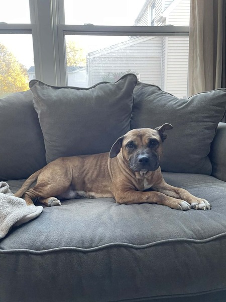 Entry image for Cammi. Clicking this image will show a larger photo