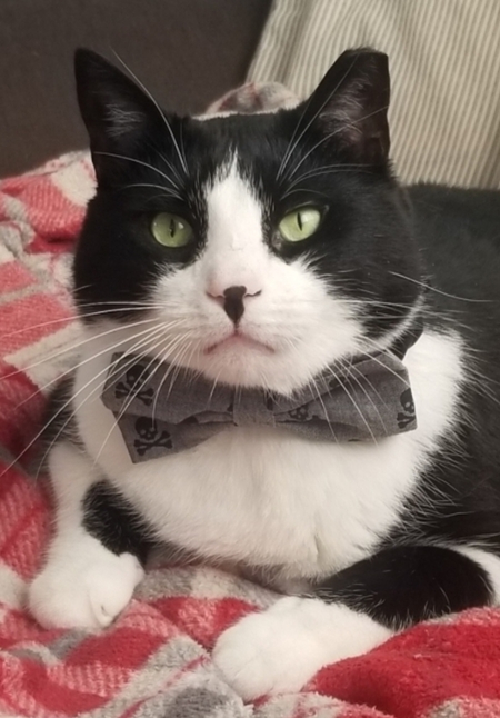 Entry image for Sullivan. Clicking this image will show a larger photo