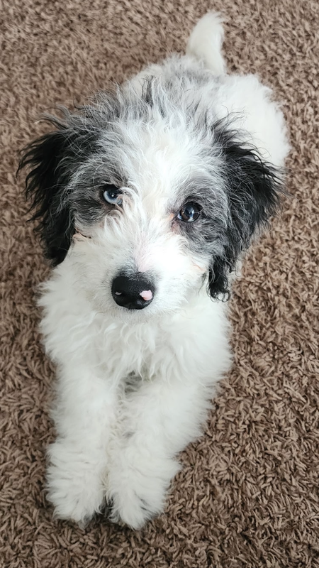 Entry image for Azure. Clicking this image will show a larger photo