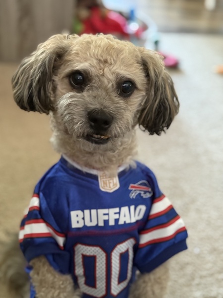 Entry image for Denali. Clicking this image will show a larger photo