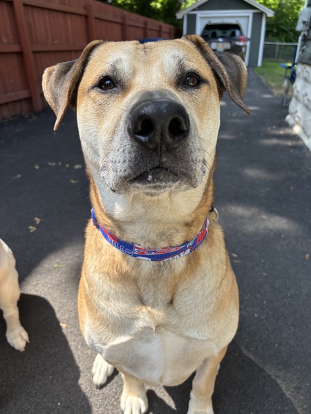 Entry image for Arnie Enos. Clicking this image will show a larger photo