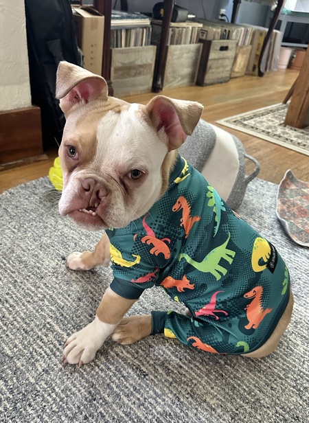 Entry image for Franklin. Clicking this image will show a larger photo