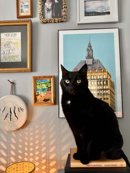 Entry image for Q. Clicking this image will show a larger photo