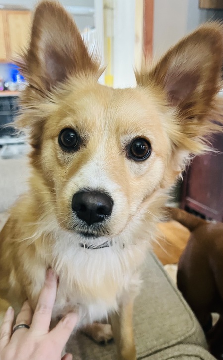 Entry image for Max Bell. Clicking this image will show a larger photo