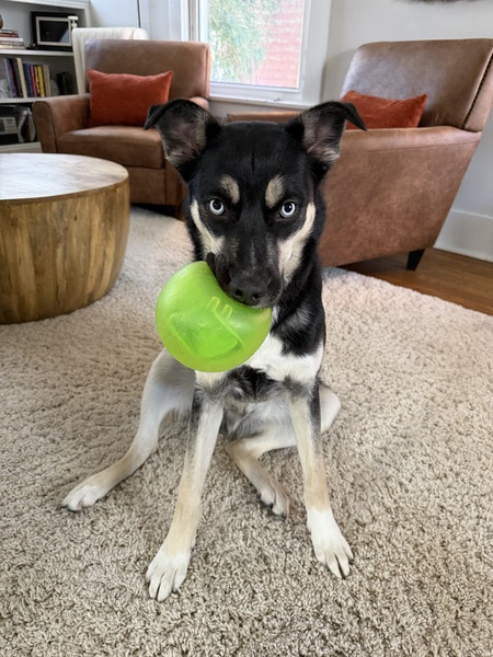 Entry image for Blue. Clicking this image will show a larger photo