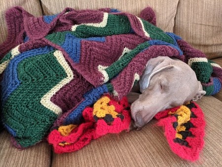 Entry image for Philly. Clicking this image will show a larger photo