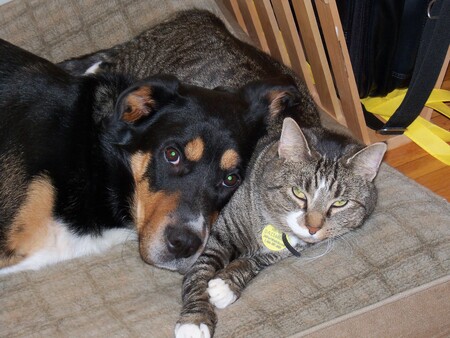 Entry image for Max. Clicking this image will show a larger photo