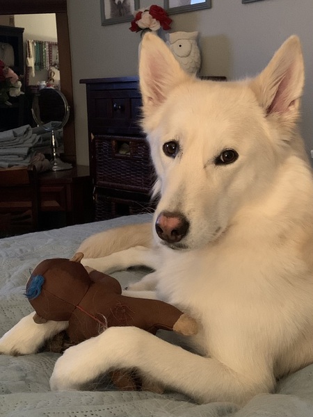 Entry image for Mila. Clicking this image will show a larger photo