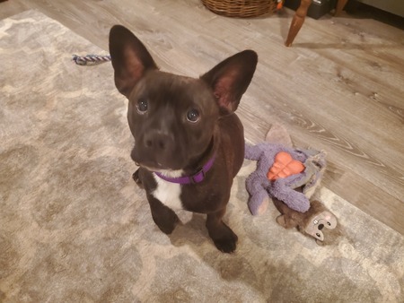 Entry image for Abner Dean . Clicking this image will show a larger photo