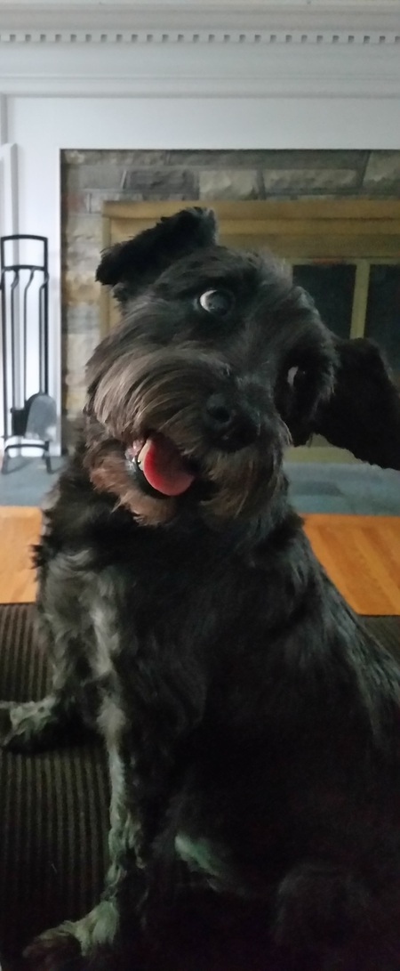 Entry image for Jeter. Clicking this image will show a larger photo