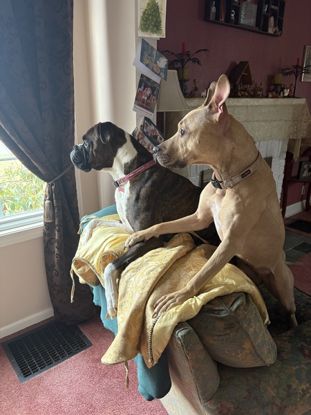 Entry image for Lexi Espenmiller . Clicking this image will show a larger photo