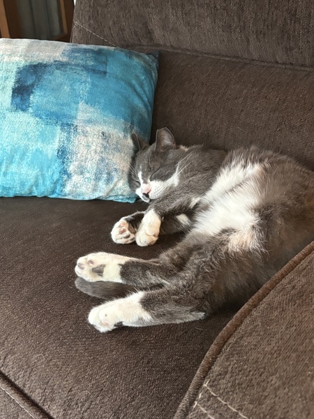 Entry image for Kenny. Clicking this image will show a larger photo