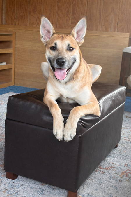 Entry image for Lambeau. Clicking this image will show a larger photo