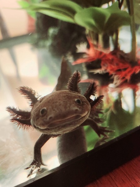 Entry image for Poseidon. Clicking this image will show a larger photo