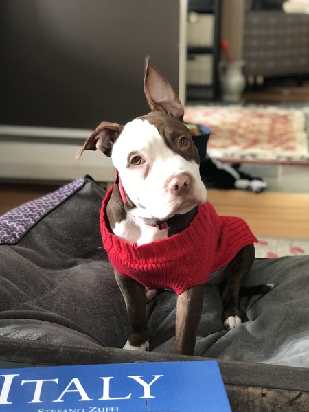 Entry image for Maybelline. Clicking this image will show a larger photo