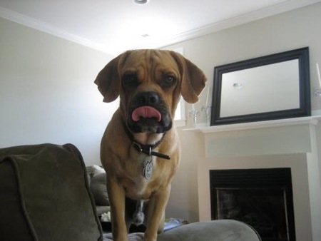 Entry image for BRUZER ❤️. Clicking this image will show a larger photo