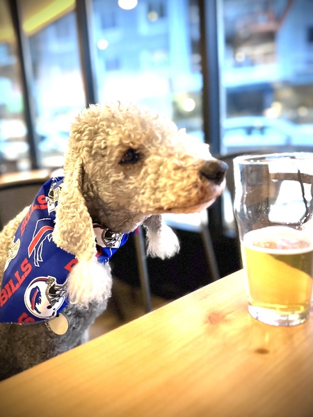 Entry image for Diamonds. Clicking this image will show a larger photo