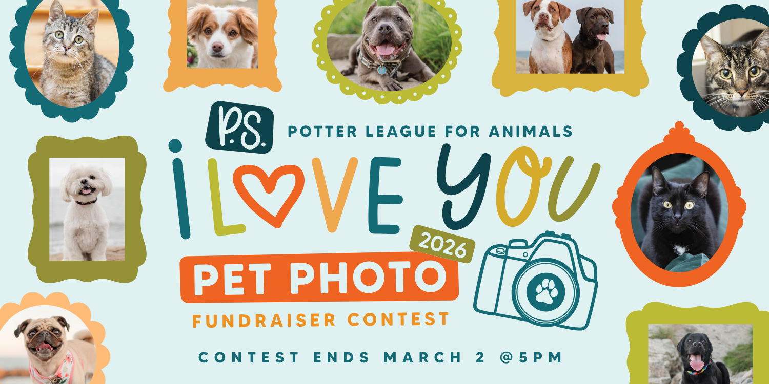 Banner for P.S. I Love You Pet Calendar Photo Contest